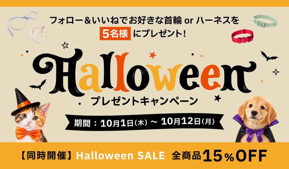 【プレゼントキャンペーン】今年のハロウィン、 うちの子には何色が似合う?