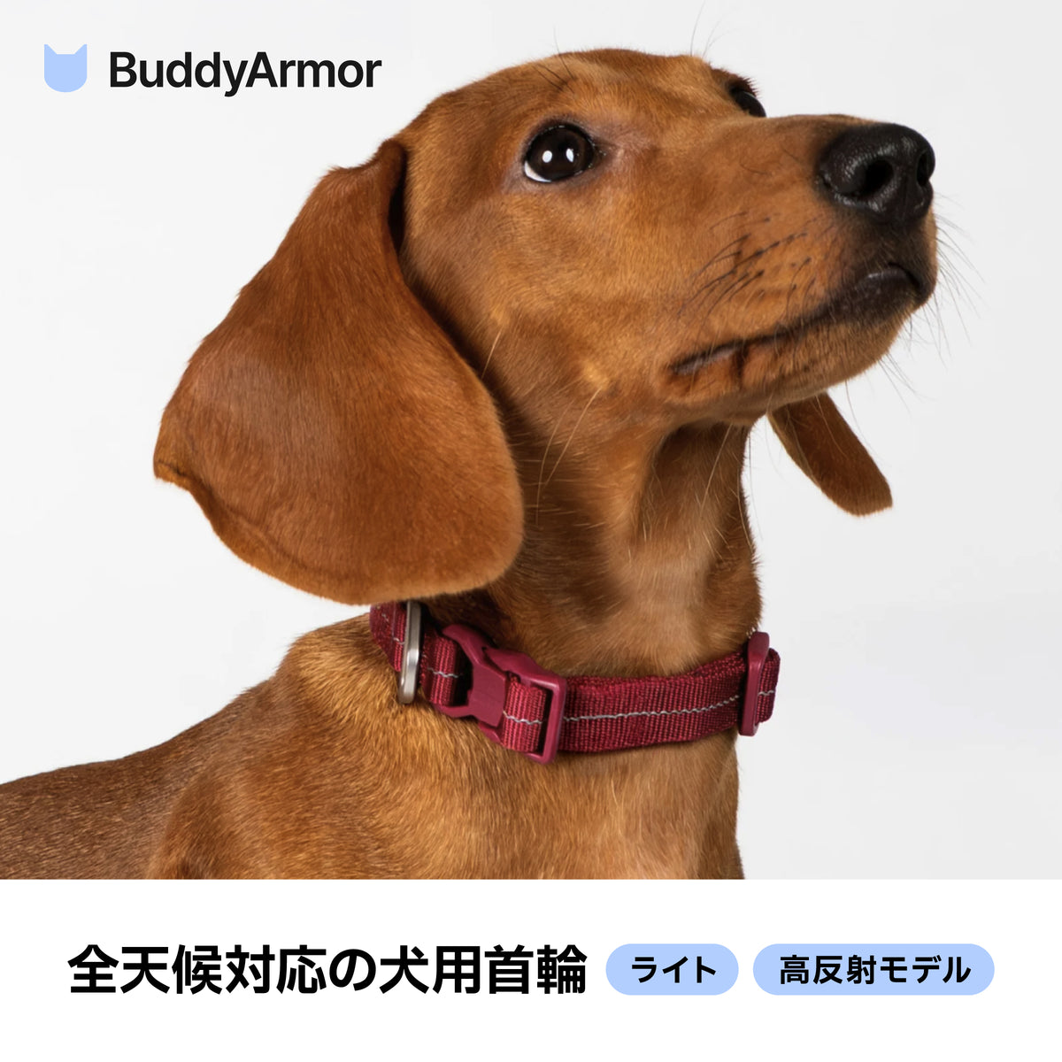 雨天対応・反射付き防水首輪｜犬用