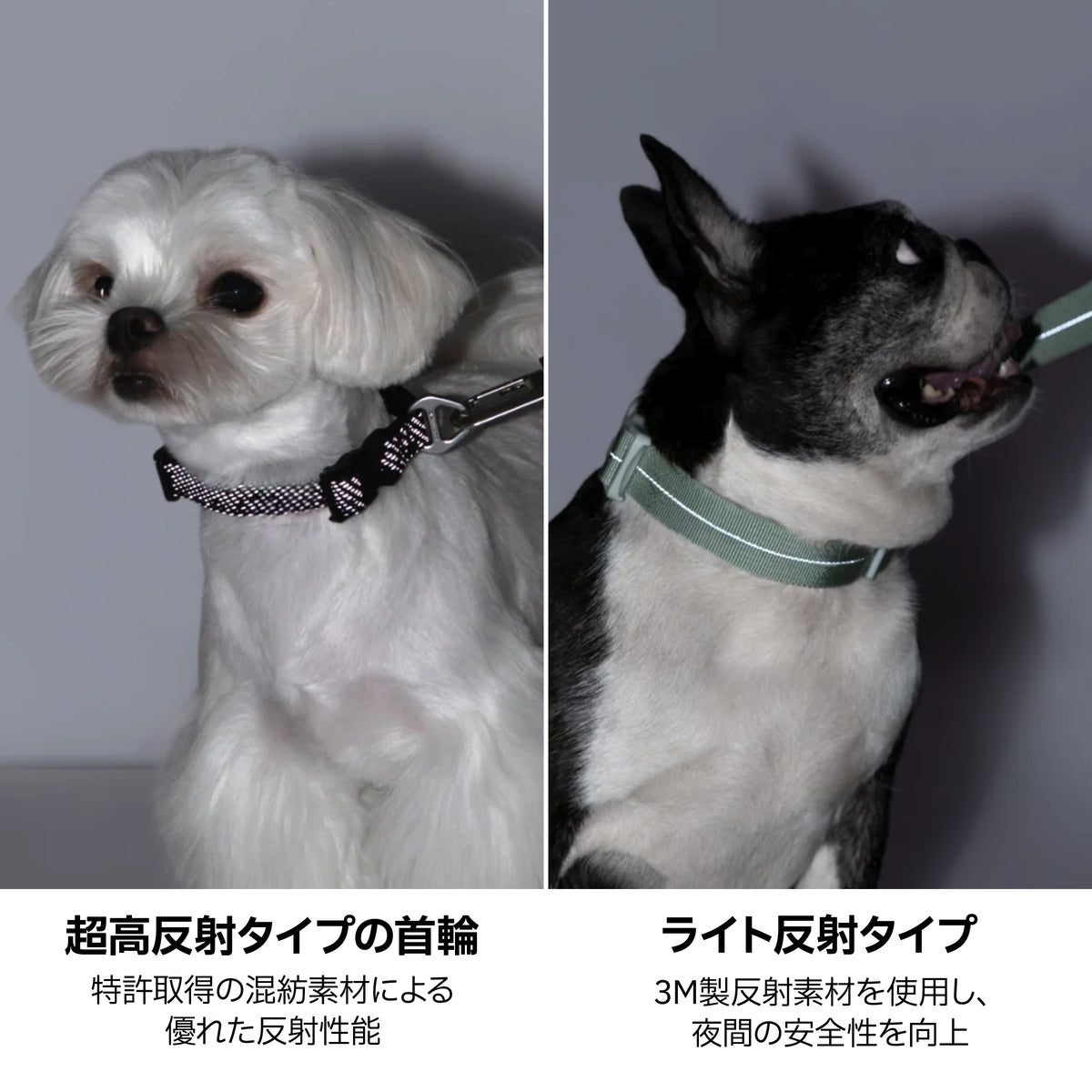雨天対応・反射付き防水首輪｜犬用