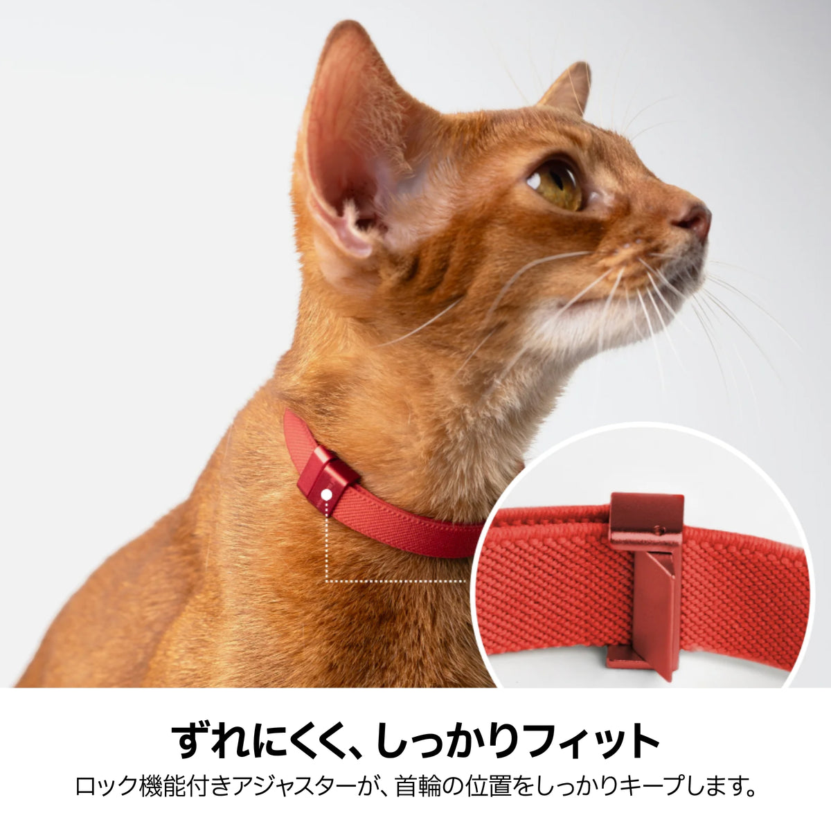 窒息防止・伸縮型セーフティ首輪｜猫用