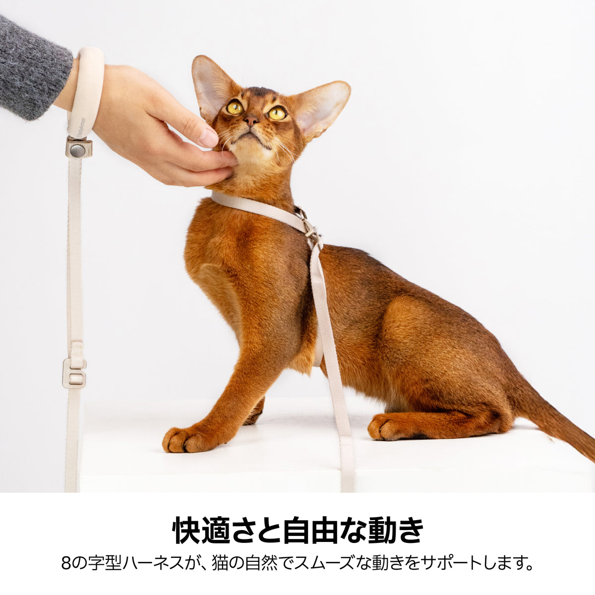すり抜け防止・8字型ハーネス｜猫用