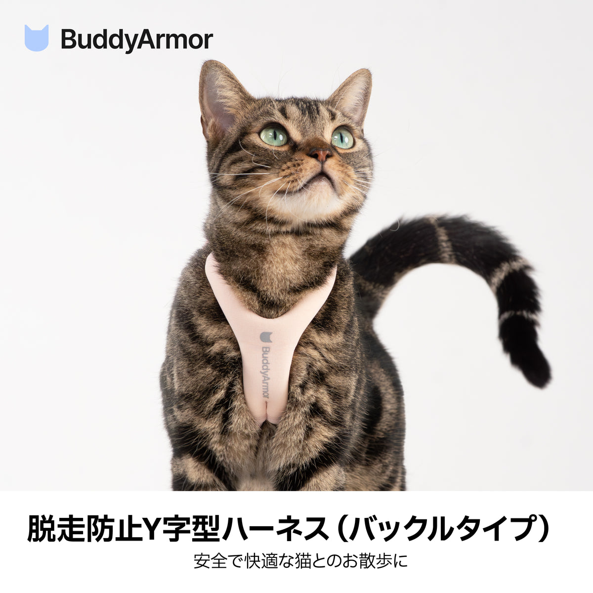 すり抜け防止・Y型ハーネス｜猫用