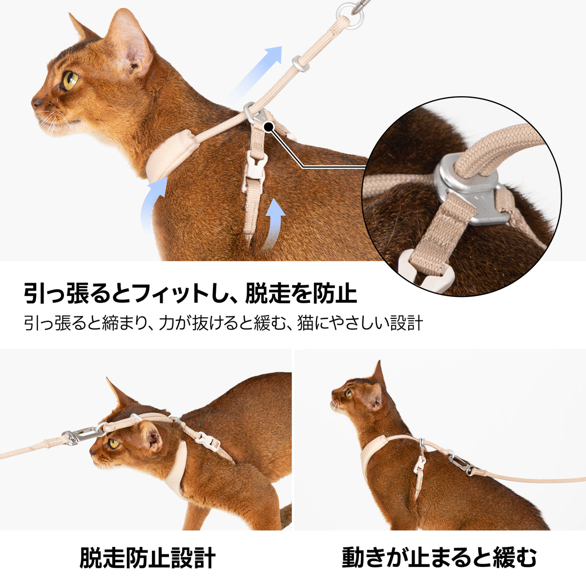 すり抜け防止・Y型ハーネス｜猫用