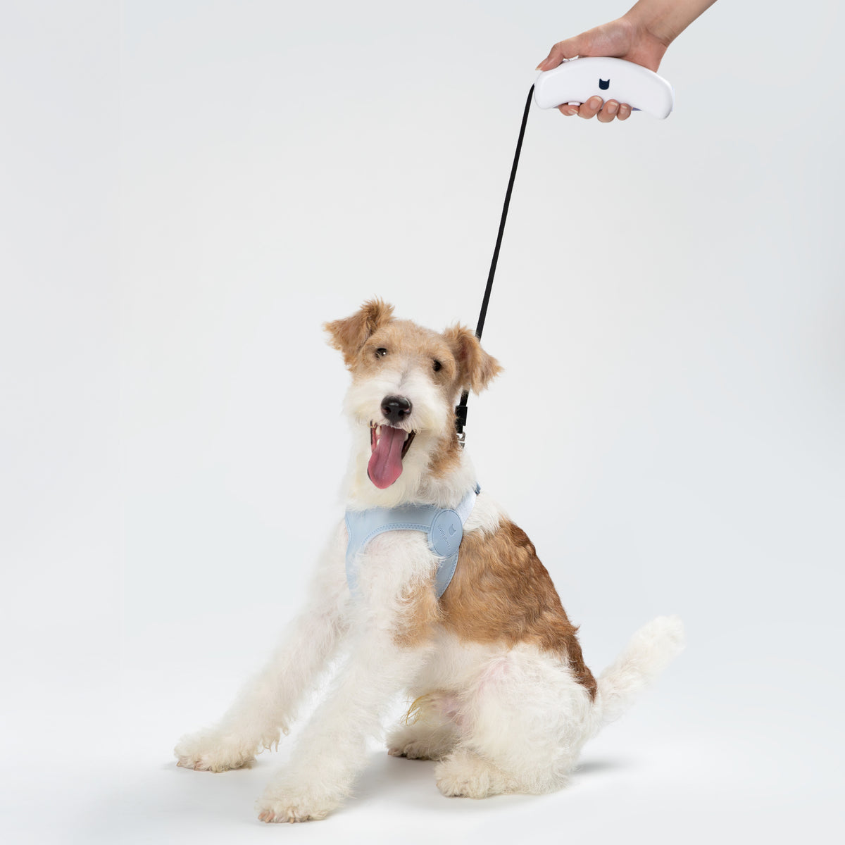 伸縮グリップ・収納型リード ｜猫・小-中型犬用