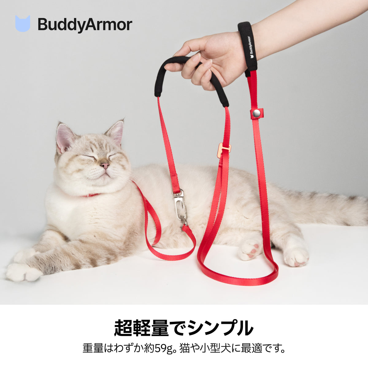 ハンズフリー ストラップリード（肩掛け・腰巻き対応）｜猫・小型犬用