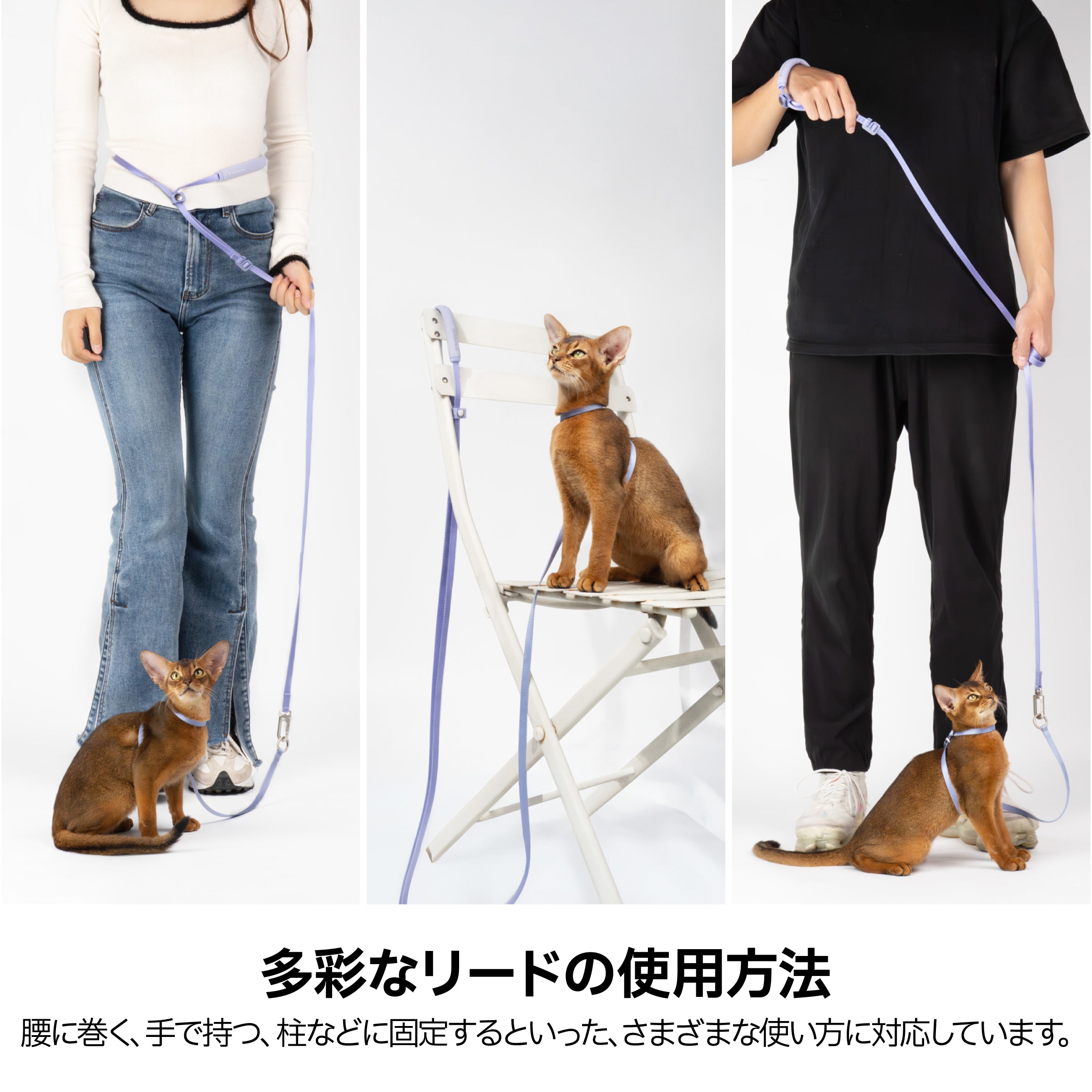 ハンズフリー ストラップリード（肩掛け・腰巻き対応 ）｜猫・小型犬用