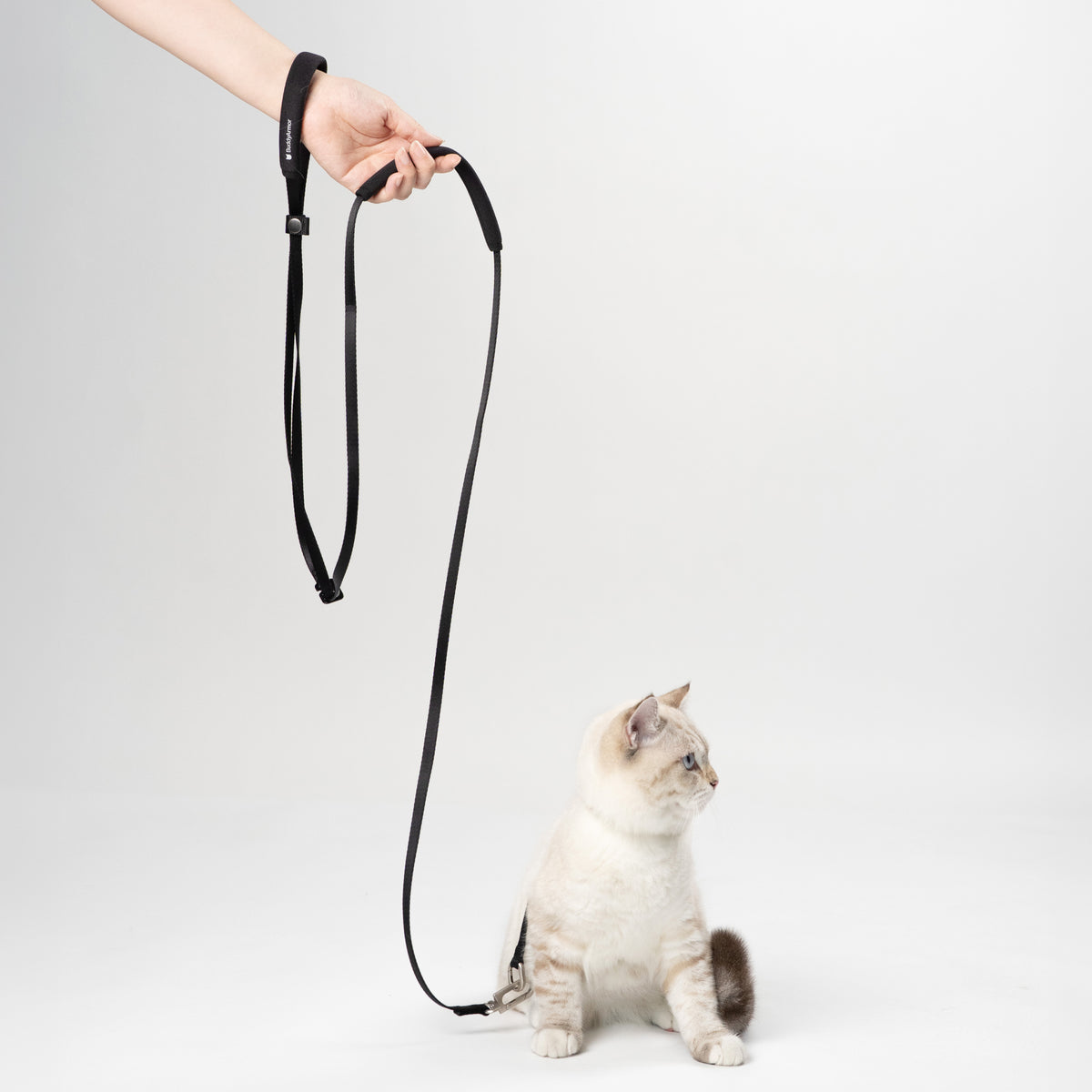 ハンズフリー ストラップリード（肩掛け・腰巻き対応）｜猫・小型犬用