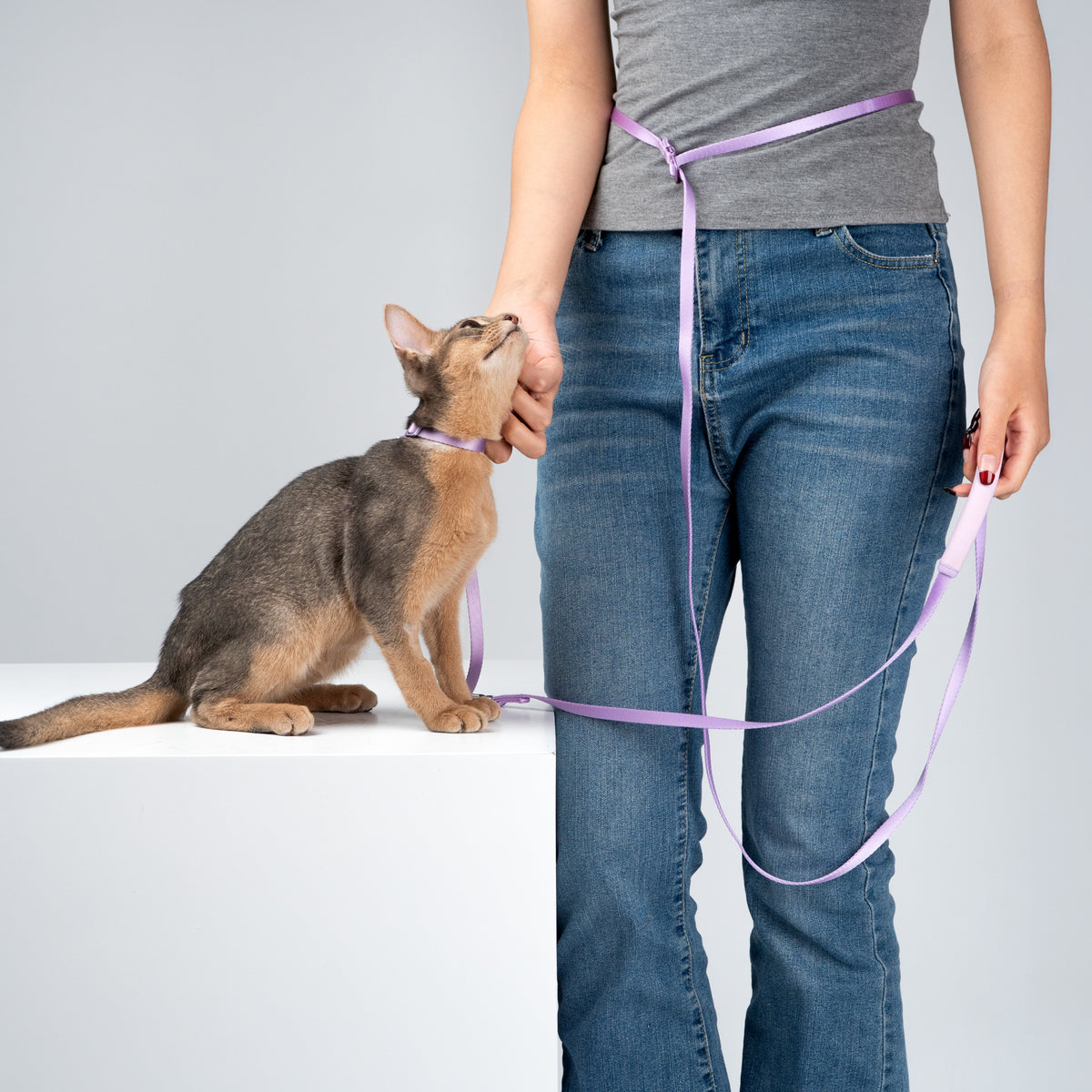 ハンズフリー ストラップリード（肩掛け・腰巻き対応）｜猫・小型犬用