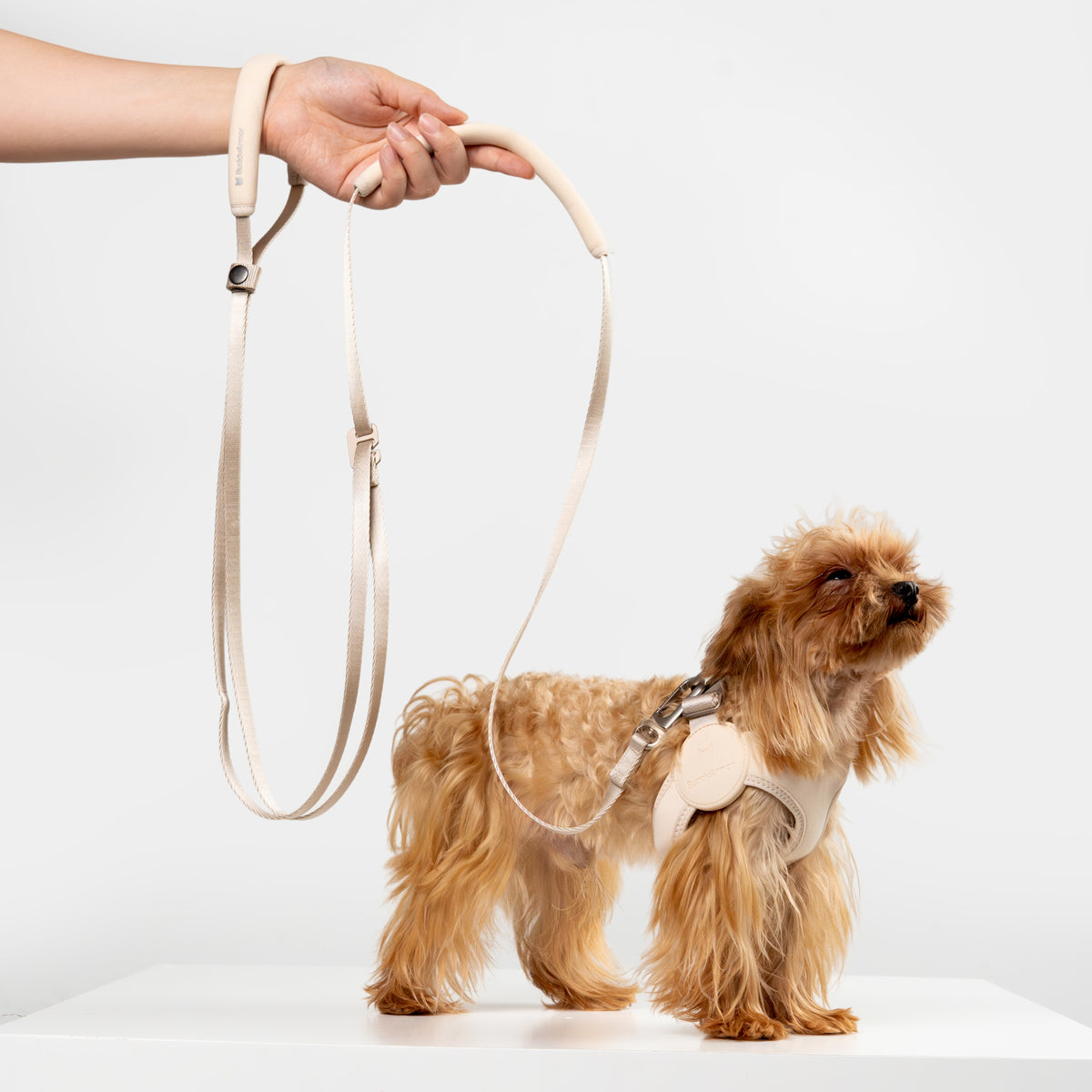 ハンズフリー ストラップリード（肩掛け・腰巻き対応）｜猫・小型犬用