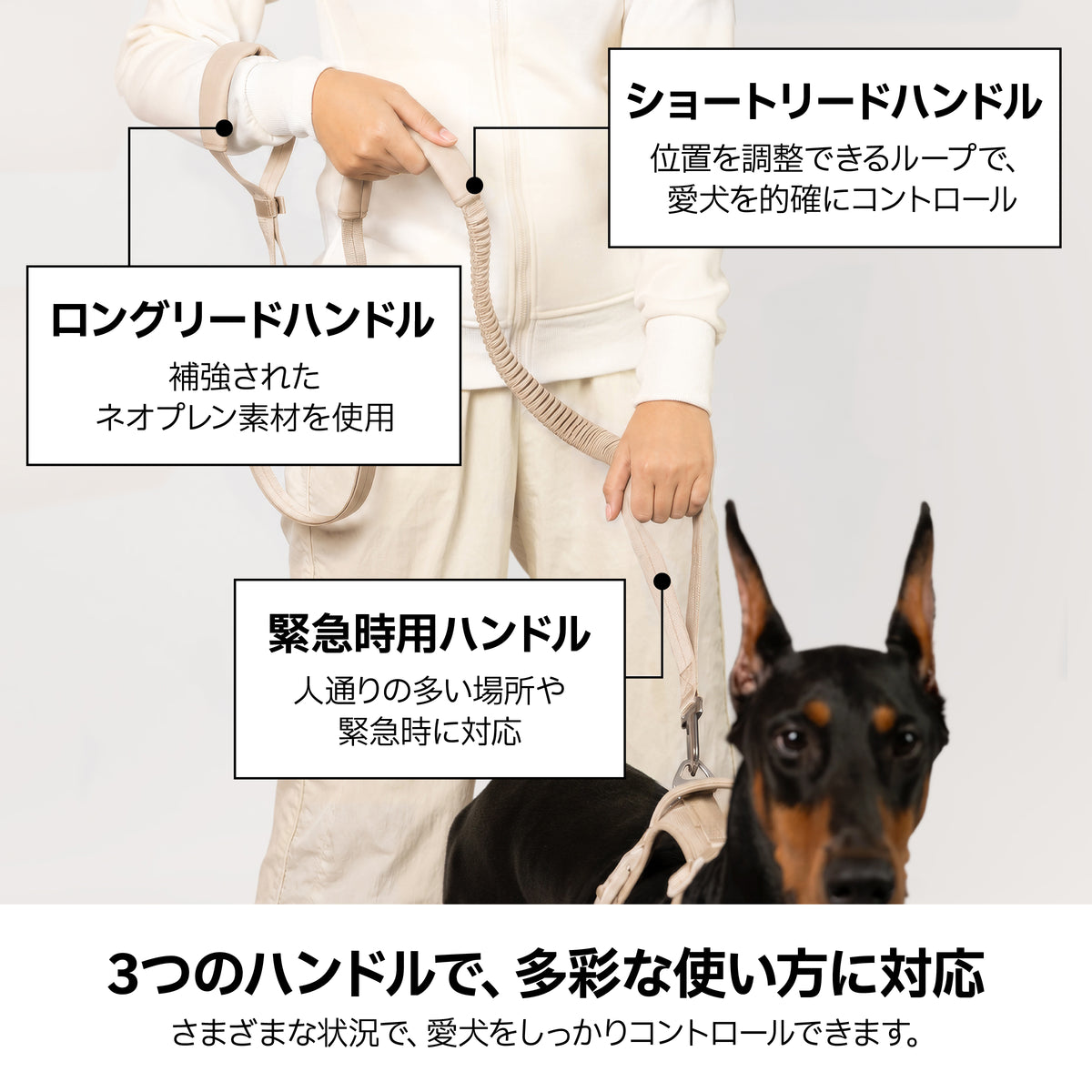 反射付・3WAYハンズフリーリード（肩掛け・腰巻き対応）｜犬用