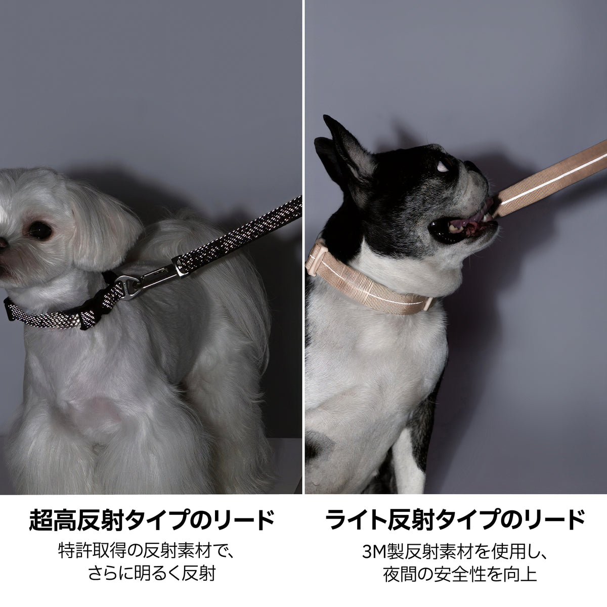 反射付・3WAYハンズフリーリード（肩掛け・腰巻き対応）｜犬用