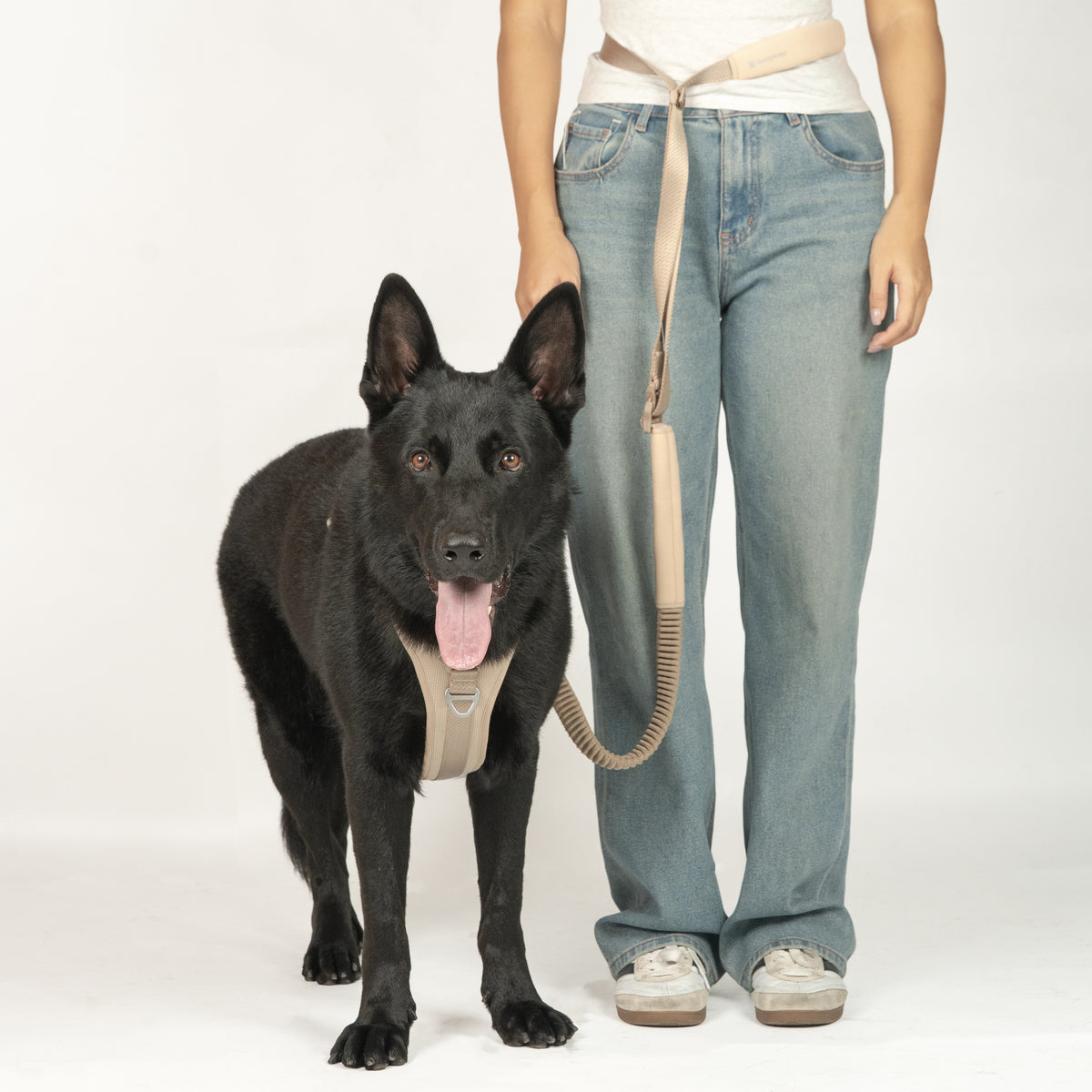 反射付・3WAYハンズフリーリード（肩掛け・腰巻き対応）｜犬用