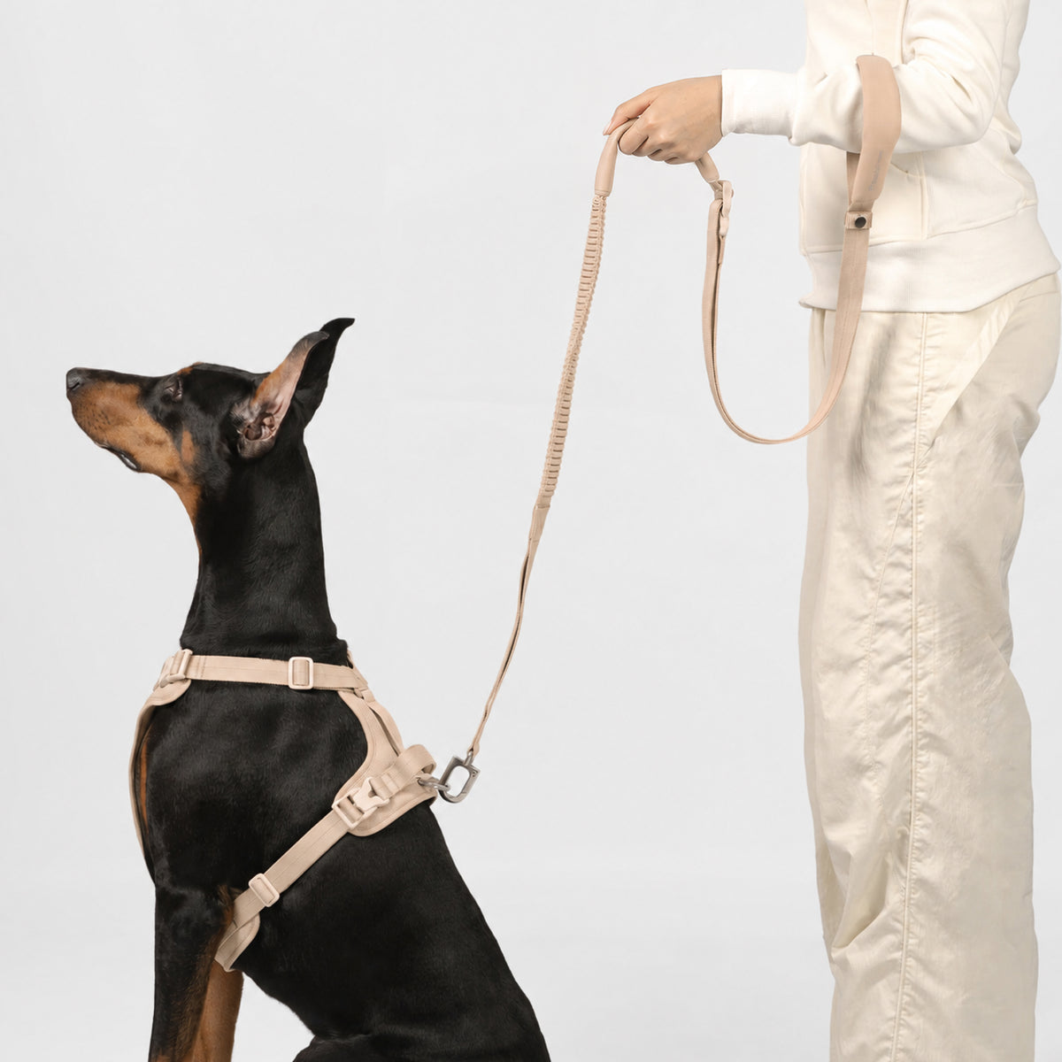 反射付・3WAYハンズフリーリード（肩掛け・腰巻き対応）｜犬用