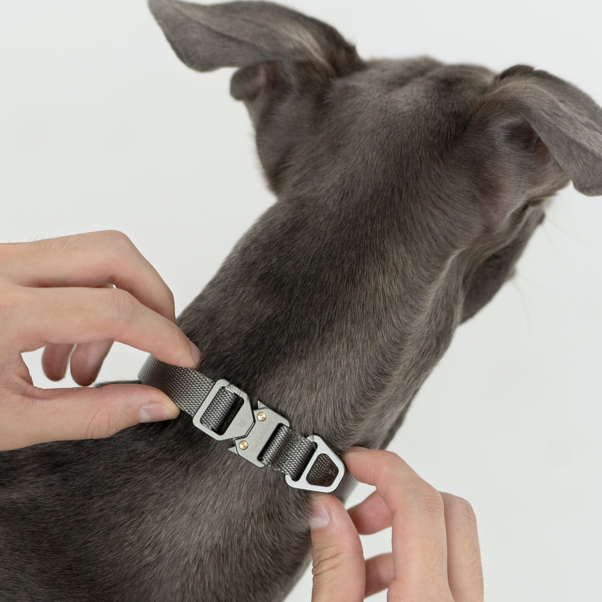 【最高級合金使用】ワンタッチ着脱首輪 ｜犬用