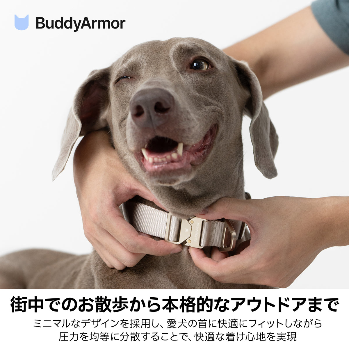 【最高級合金使用】ワンタッチ着脱首輪 ｜犬用
