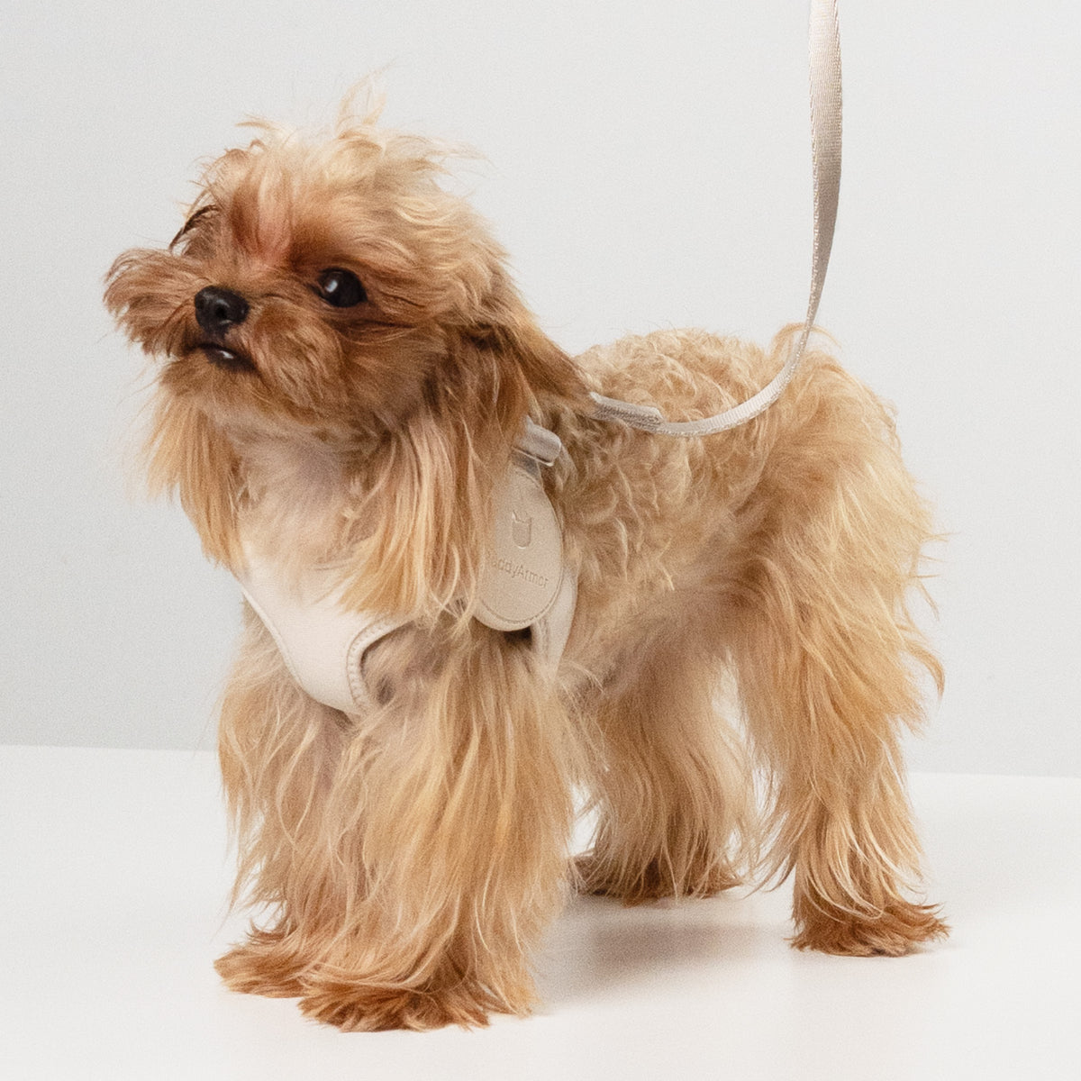 伸縮ストレッチ・ソフトフィットハーネス｜犬用