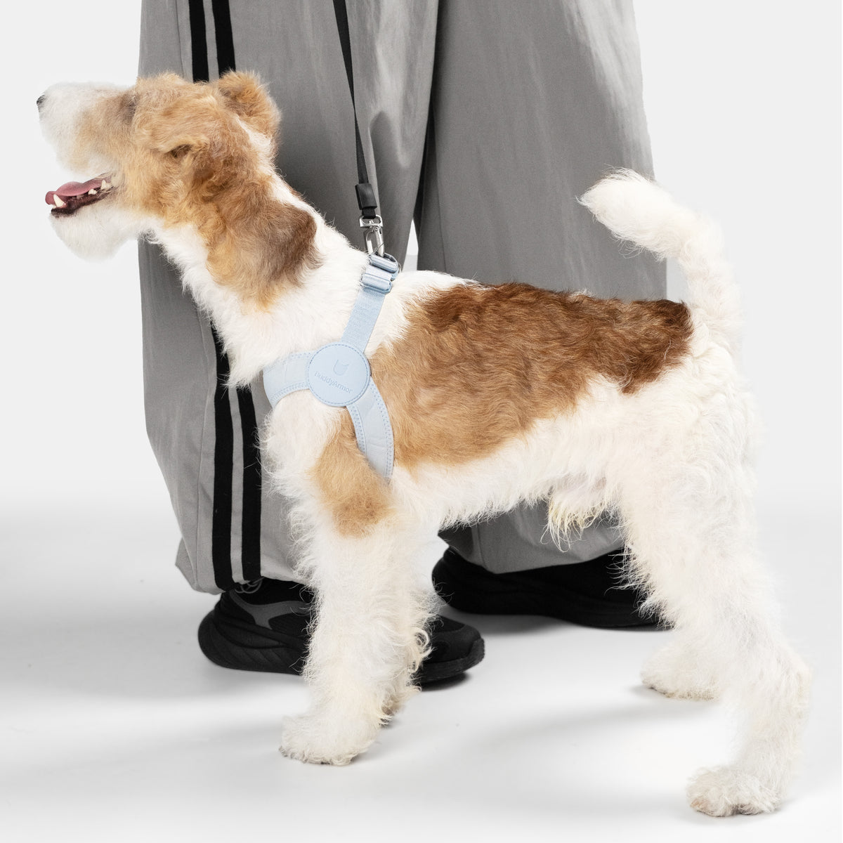 伸縮ストレッチ・ソフトフィットハーネス｜犬用