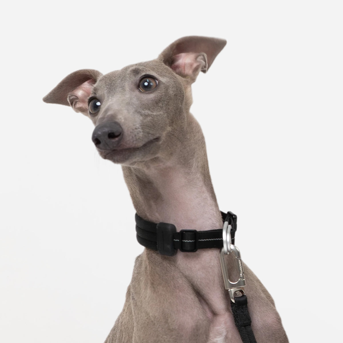 衝撃吸収・ソフトフィット首輪｜犬用