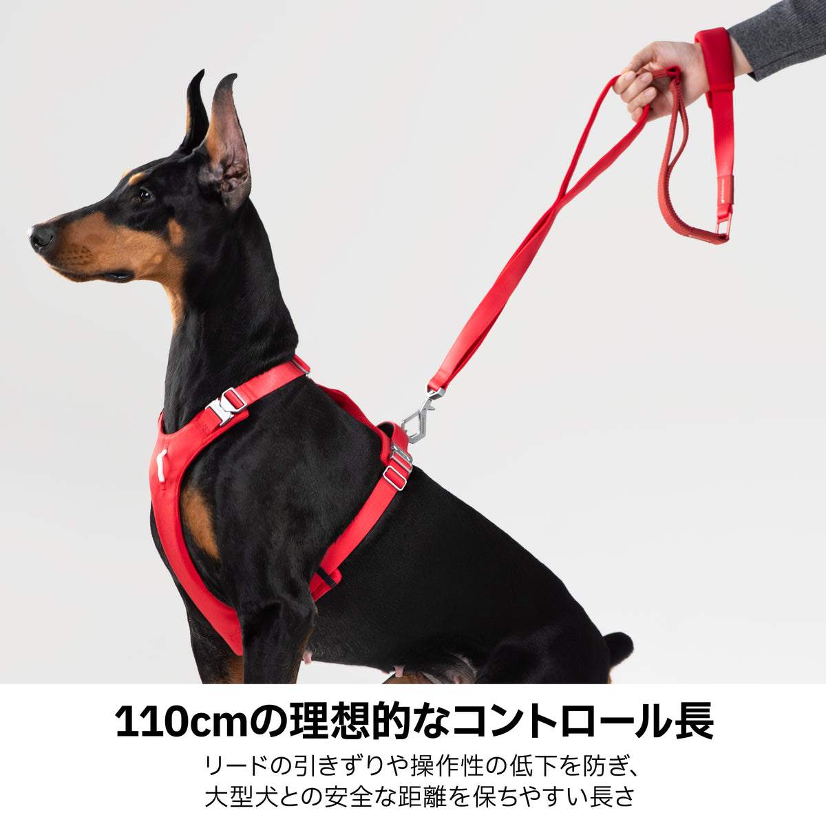 【最高級合金使用】高耐久・伸縮マルチハンドルリード ｜犬用