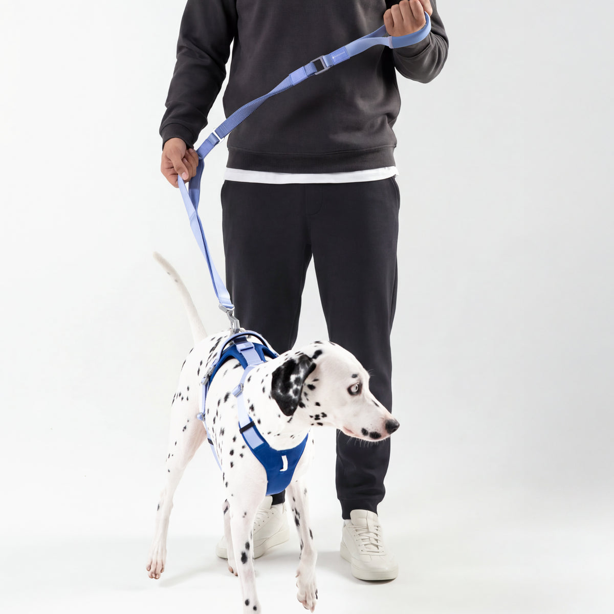 【最高級合金使用】高耐久・伸縮マルチハンドルリード ｜犬用