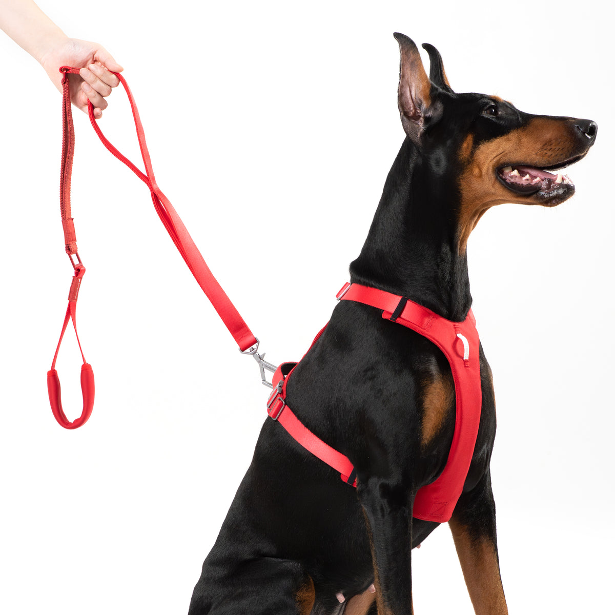 【最高級合金使用】高耐久・伸縮マルチハンドルリード ｜犬用