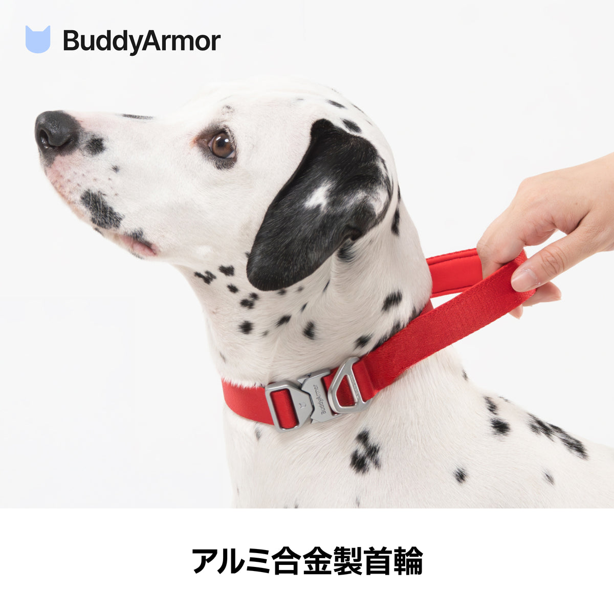 ワンタッチ着脱首輪（ハンドル付） ｜犬用