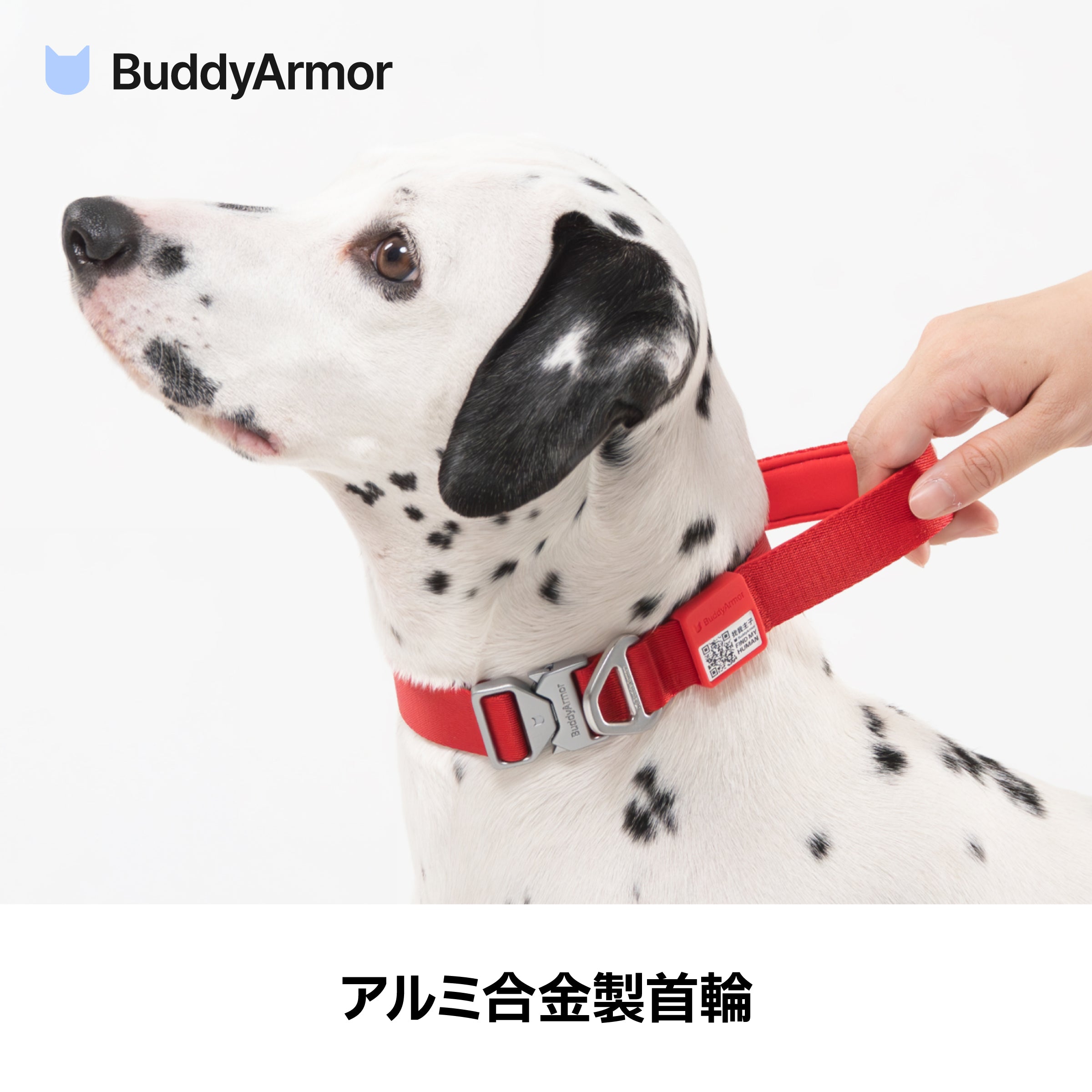 【Premium】ワンタッチ着脱首輪（ハンドル付） ｜犬用