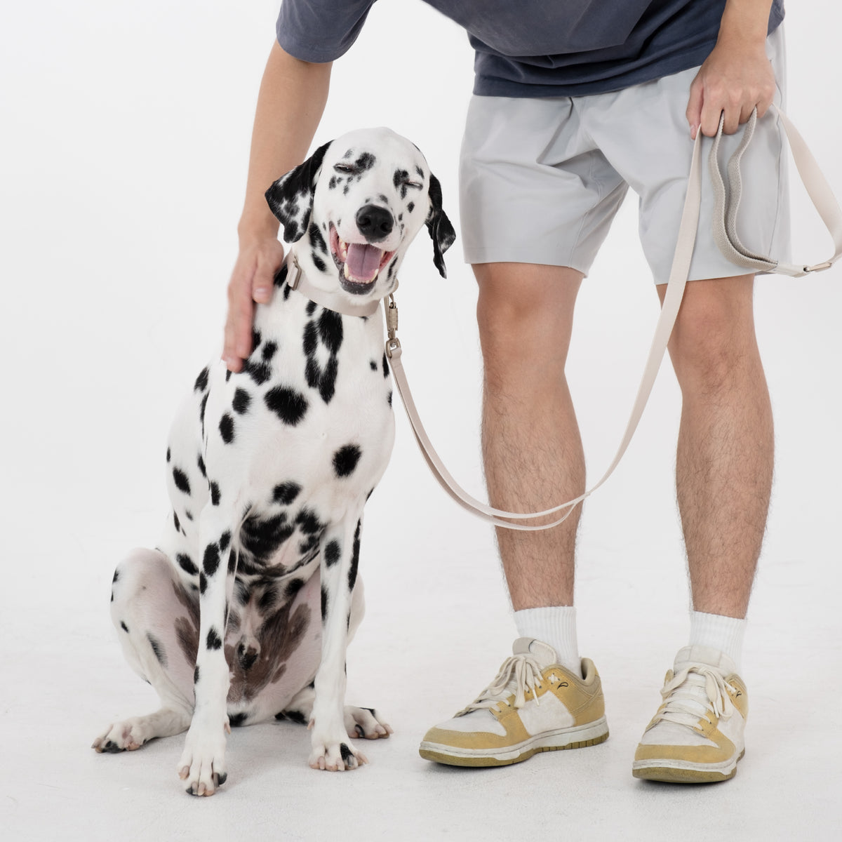 【最高級合金使用】高耐久・伸縮リード ｜犬用