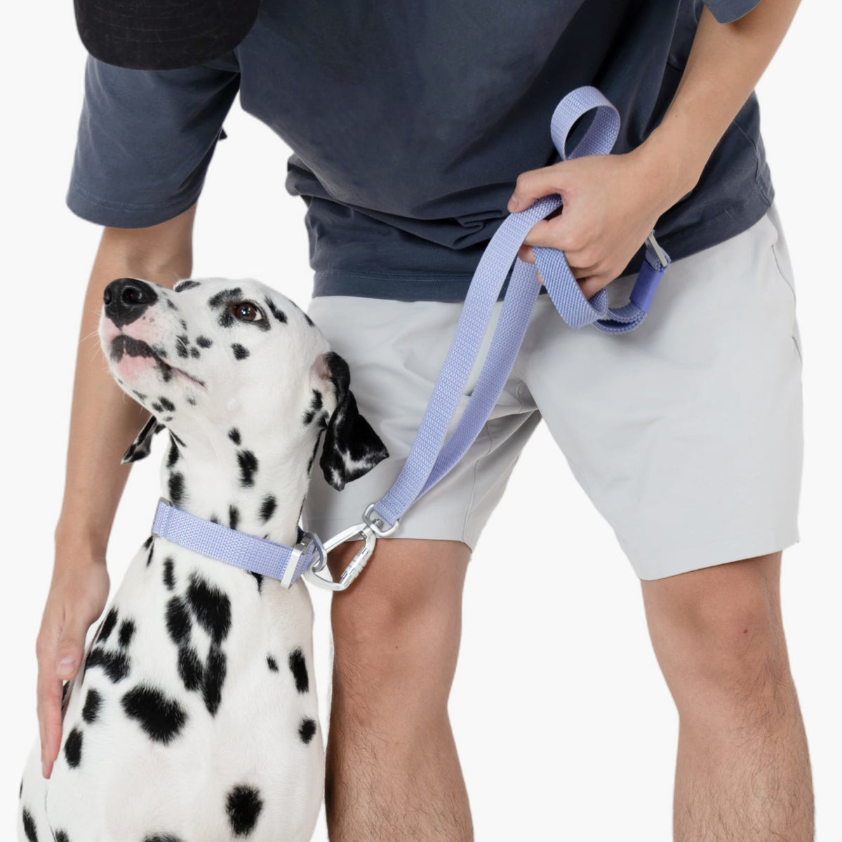 【最高級合金使用】高耐久・伸縮リード ｜犬用