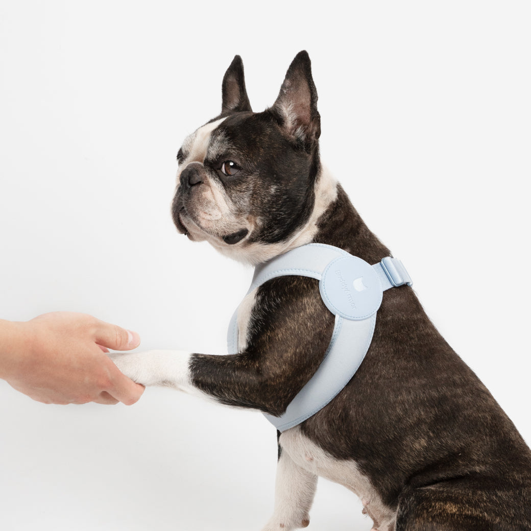 伸縮機能付き 犬用コンフォートハーネス
