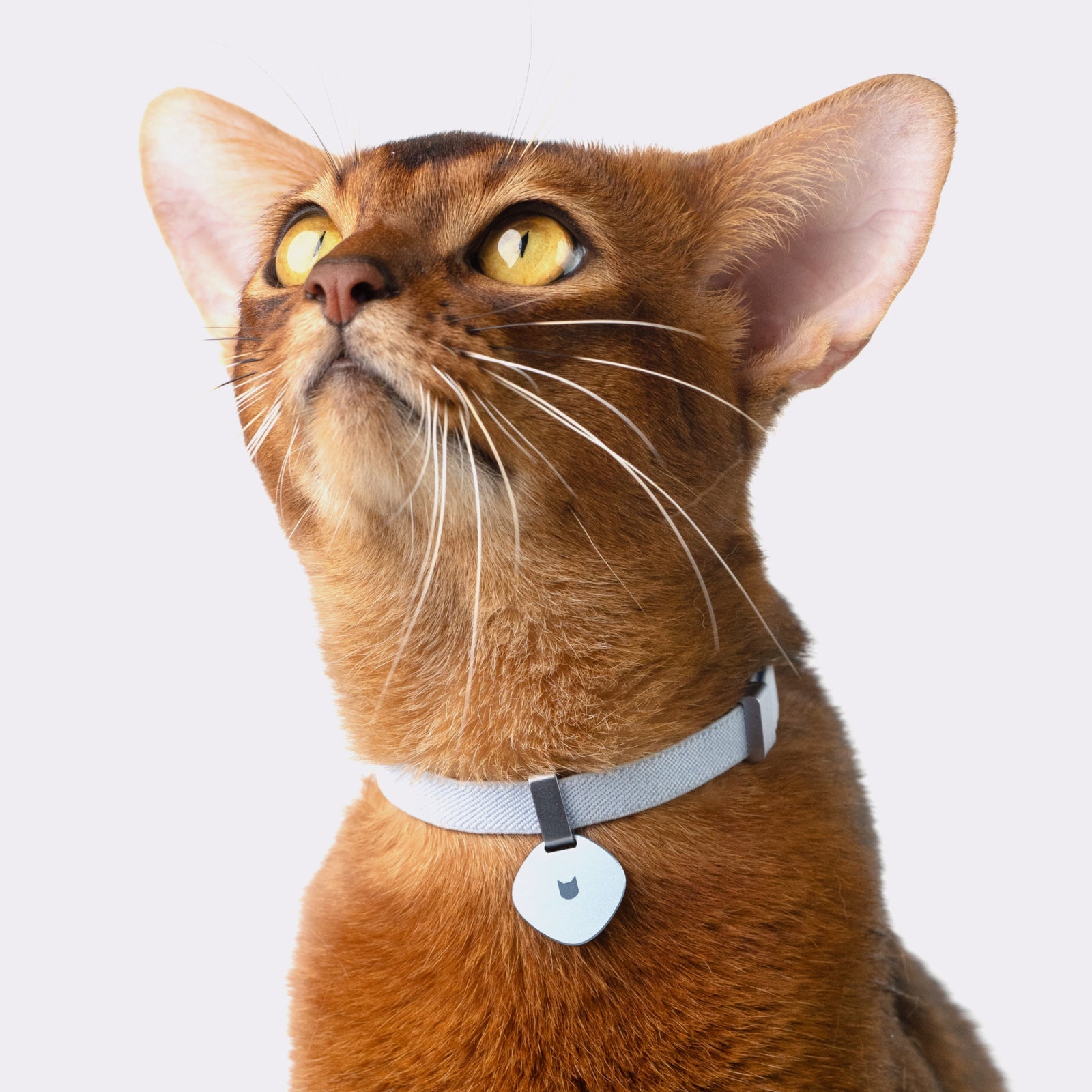 窒息防止 猫用伸縮首輪