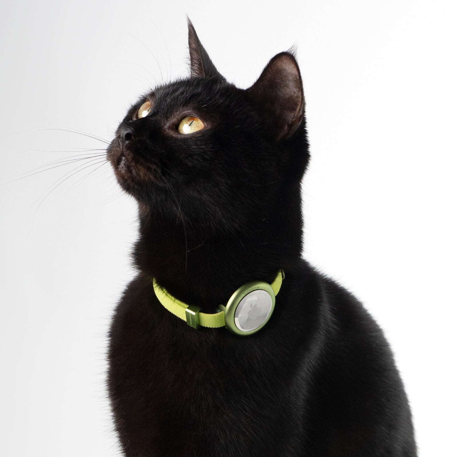 窒息防止 猫用伸縮首輪