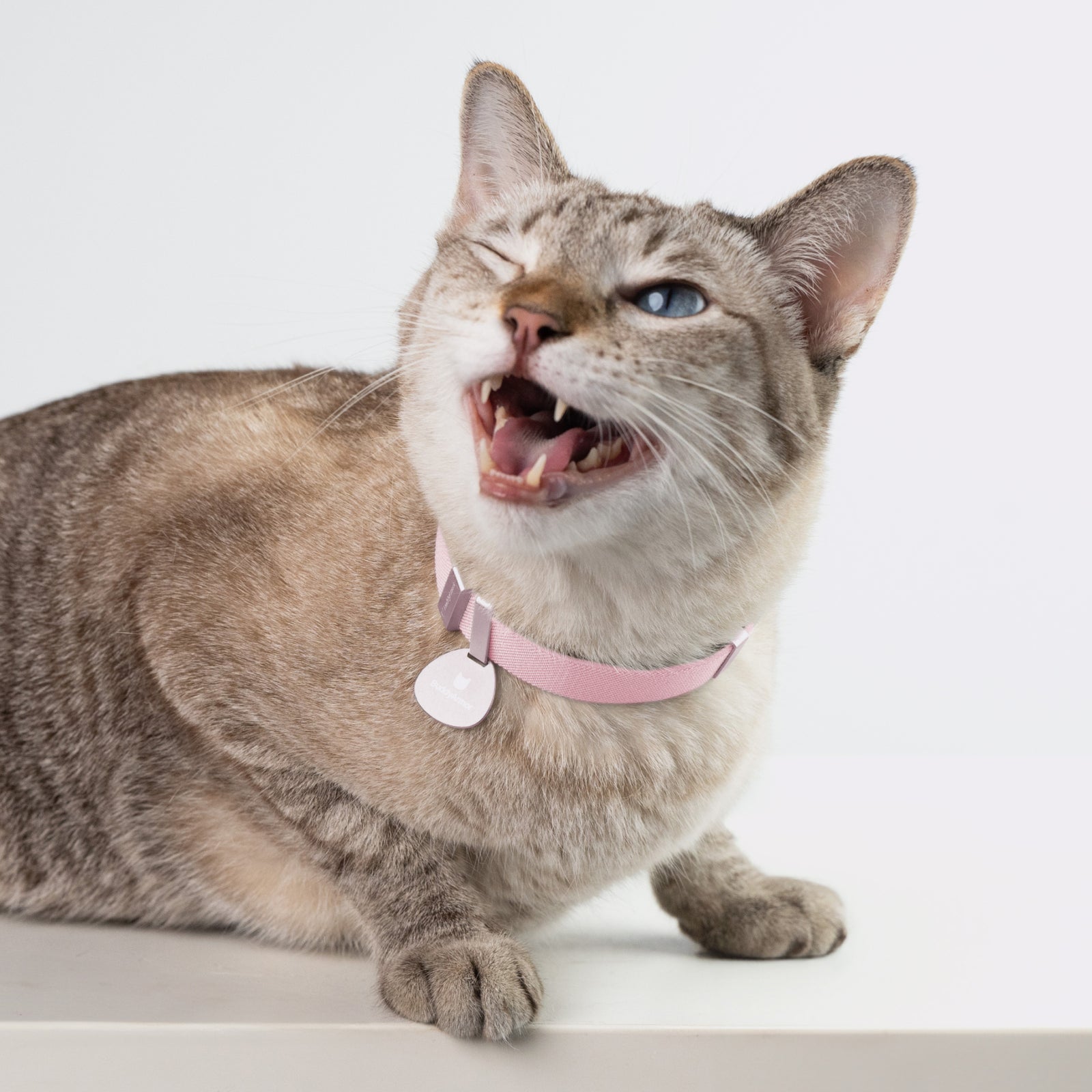 窒息防止 猫用伸縮首輪