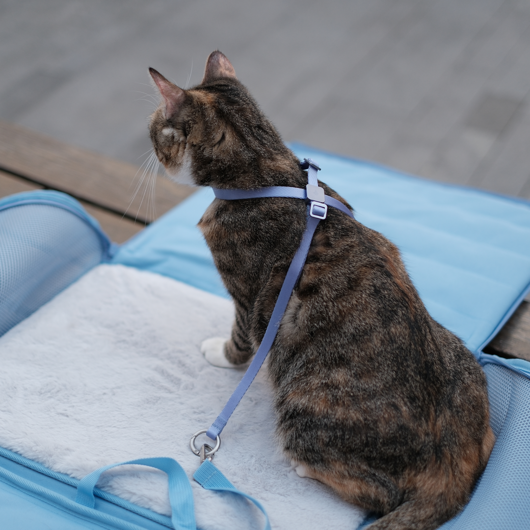 すり抜け防止 8字型 猫用ハーネス