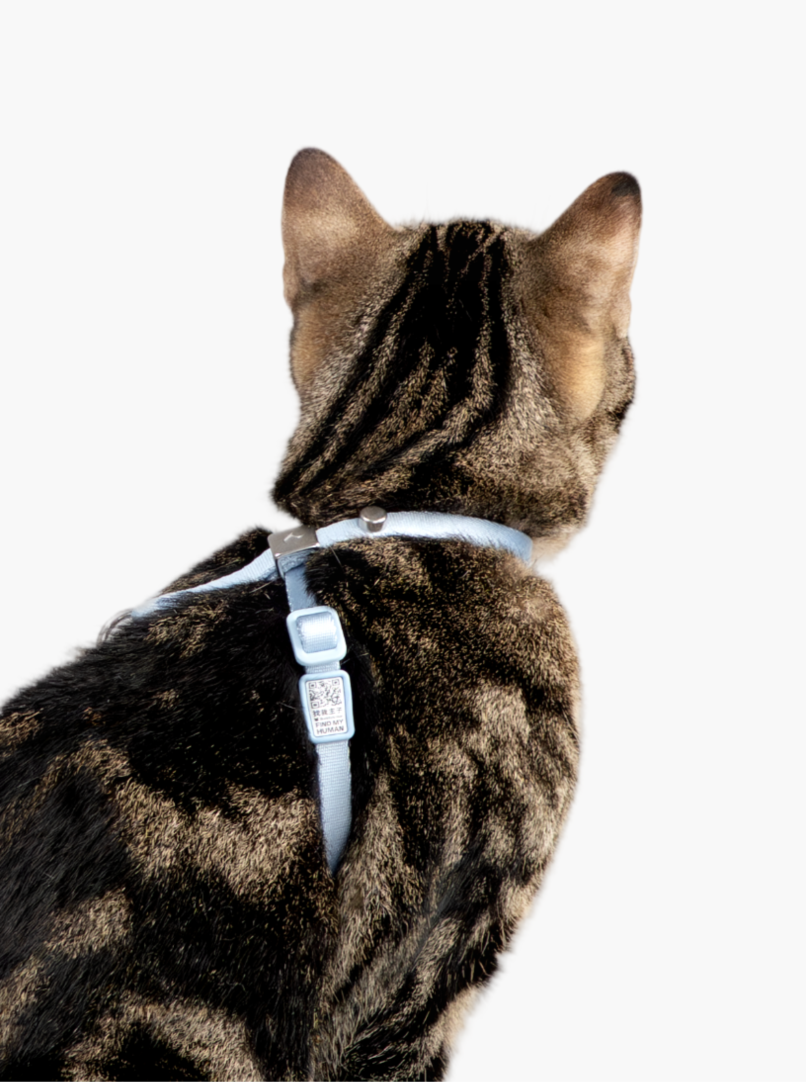 すり抜け防止 オールインワン 猫用ハーネス＆リード