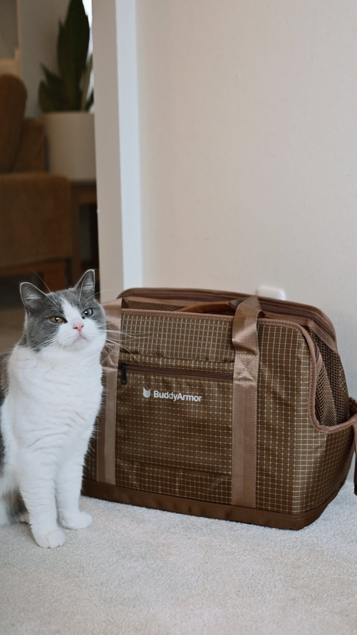 室内でココアブラウンのBuddyArmorキャリーバッグと並ぶ猫の写真