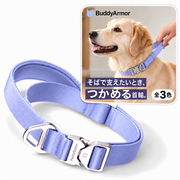 BuddyArmor ワンタッチ着脱首輪（ハンドル付）｜犬用 商品と使用イメージ