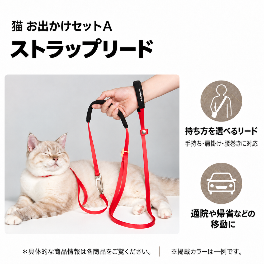 猫 お出かけセットA｜ハンズフリー ストラップリード＋Y字ハーネス【BuddyArmor 正規販売店】 商品詳細 1