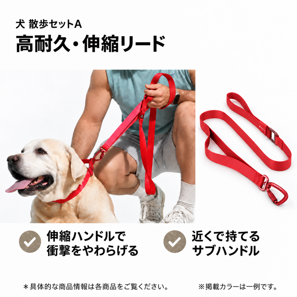 犬 散歩セットA｜【最高級合金使用】ワンタッチ着脱首輪＋【最高級合金使用】高耐久・伸縮リード【BuddyArmor 正規販売店】 商品詳細 3